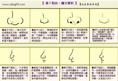 鼻孔大面相|女人鼻子大面相的命运与面相特征解析